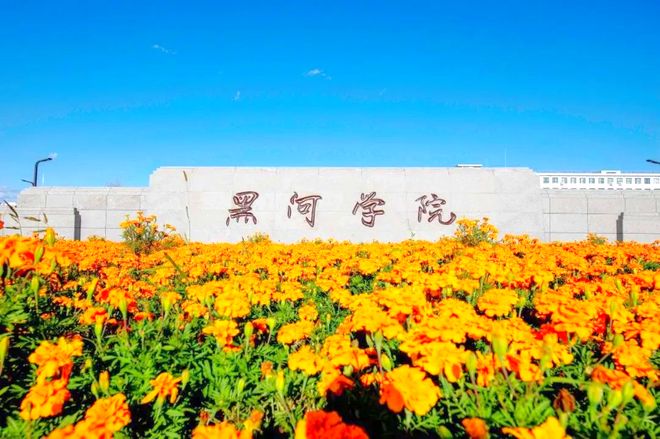 5所高校迎来新校长或新书记均为70后学者pg电子免费试玩模拟器密集换帅！黑龙江