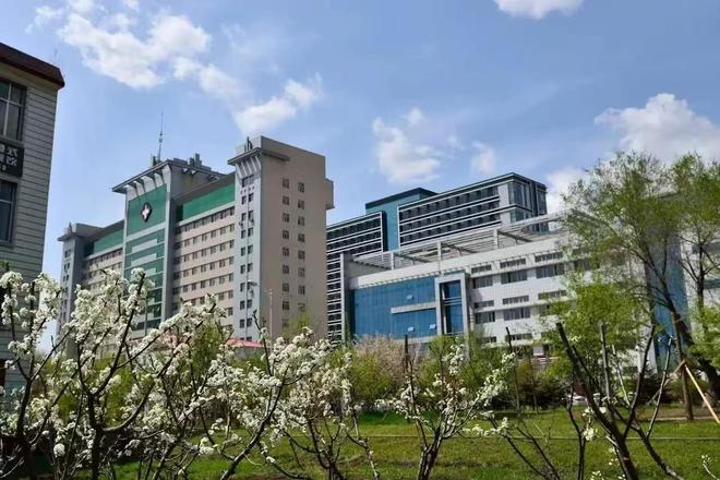 5所高校迎来新校长或新书记均为70后学者pg电子免费试玩模拟器密集换帅！黑龙江(图4)